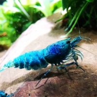 Projekt bez nazwy (25)